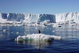 Antarctica's allure is also afflicted by the climate crisis.