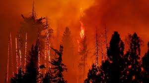 Now the weather has helped control the forest fires in Uttarakhand.